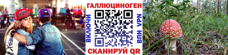 Псилоцибиновые грибы GOLDEN TEACHER  даркнет какой сайт  Нерчинск 