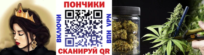 Конопля сатива  Нерчинск 